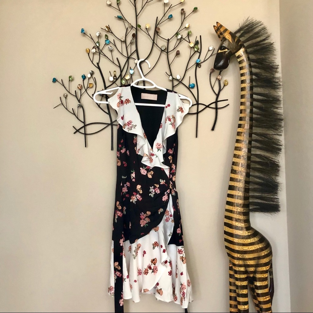 Keepsake evolve dress